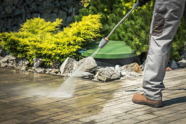 Animal Enclosure Cleaning in Mio, MI