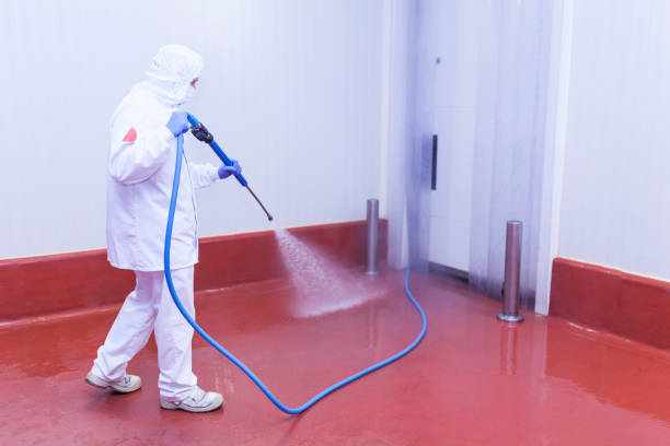 Best Heavy Equipment Washing  in O, MI